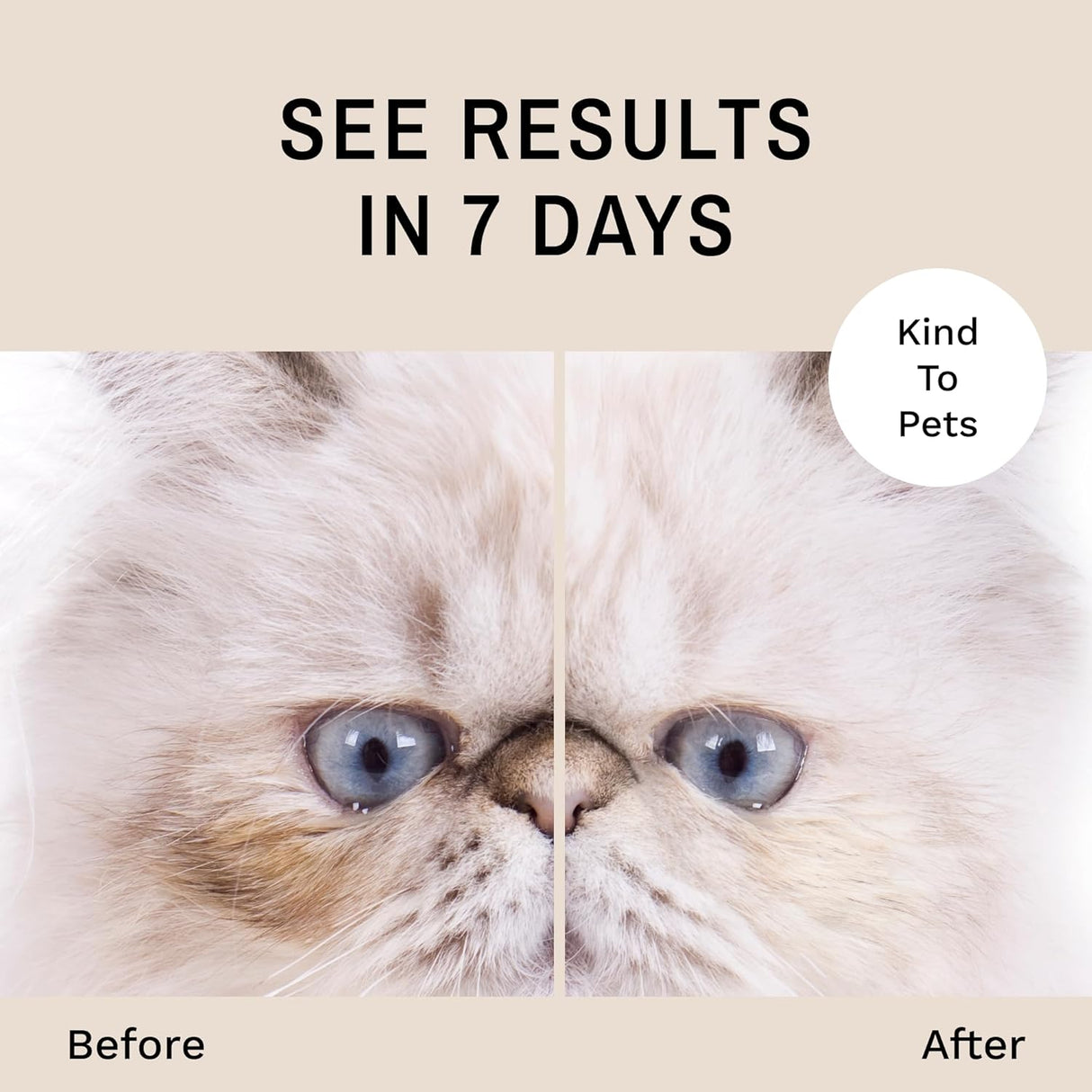 Eye Envy Tear Stain Remover Solution for Cats 237Ml.