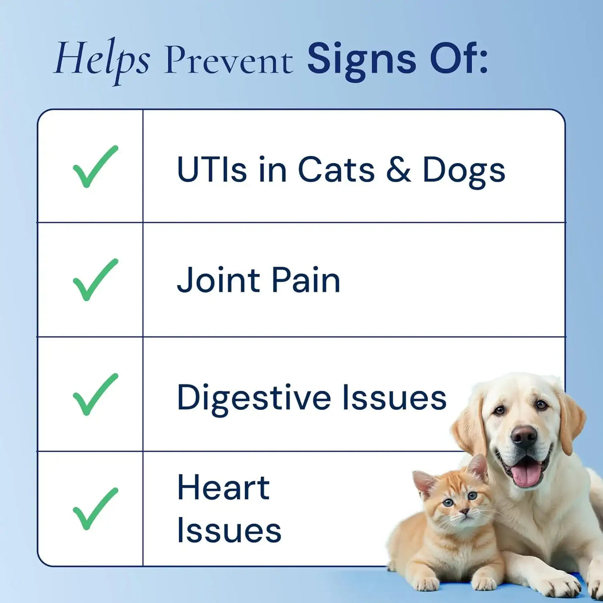 FURFINDS - FurFinds Advanced 15-in-1 Multivitamin for Dogs & Cats 2 Fl.Oz. - The Red Vitamin MX - Multivitamínicos Para Perros - {{ shop.shopifyCountryName }}