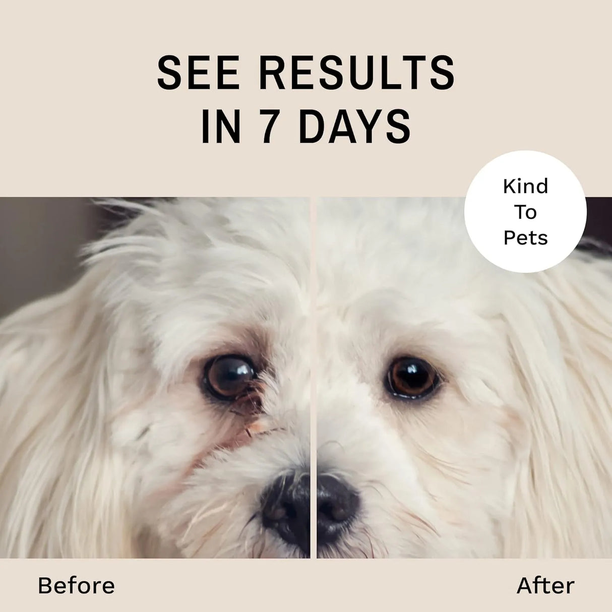 EYE ENVY - Eye Envy Tear Stain Wipes for Dogs 60 Toallitas - The Red Vitamin MX - Cuidado De Los Ojos De Los Perros - {{ shop.shopifyCountryName }}