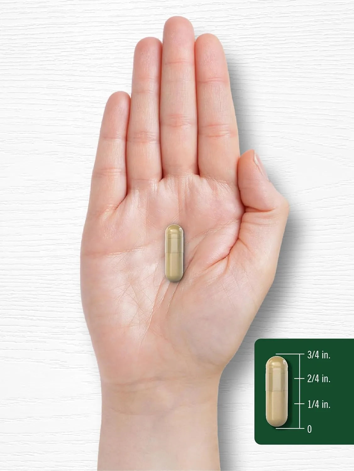 CARLYLE - Carlyle Shiitake Mushroom Extract 3000Mg. 200 Capsulas - The Red Vitamin MX - Suplementos Alimenticios - {{ shop.shopifyCountryName }}