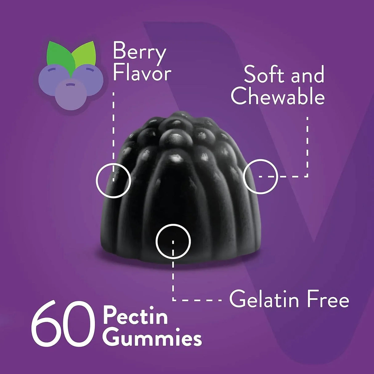 VITEEY - Viteey Sambucus Elderberry Gummies 60 Gomitas - The Red Vitamin MX - Suplementos Alimenticios - {{ shop.shopifyCountryName }}