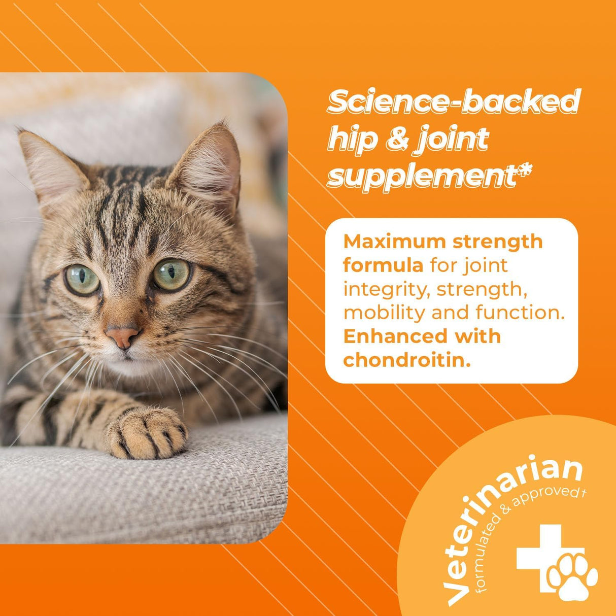 VetriScience Ultimate Strength Healthy Hip & Joint Chews Cats Chicken Flavor 30 Masticables