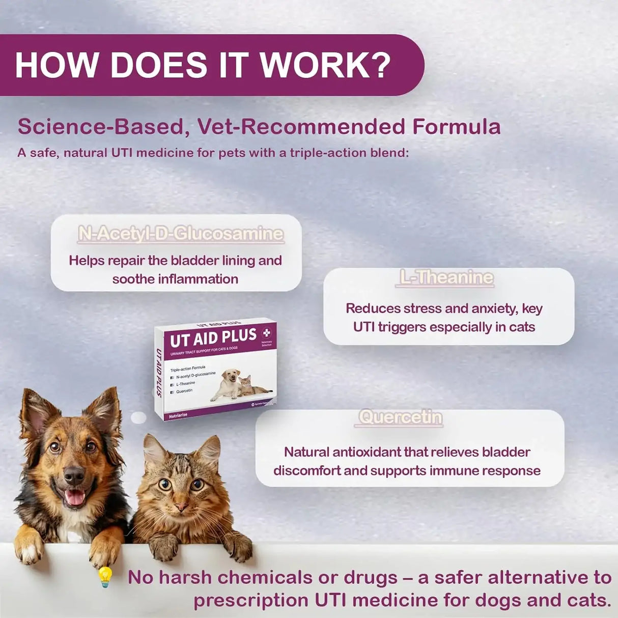 NUTRIARISE - NUTRIARISE UT Aid Plus Cat & Dog UTI Treatment 30 Capsulas - The Red Vitamin MX - Salud De Tracto Urinario Para Perros - {{ shop.shopifyCountryName }}