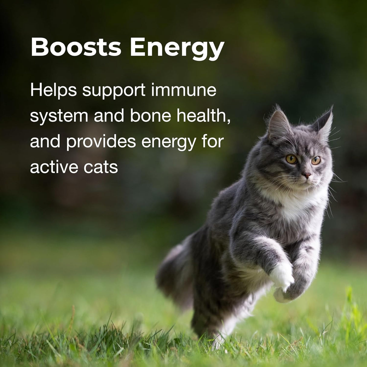 PetAg Vitamin & Mineral Gel Supplement for Cats 100Gr.