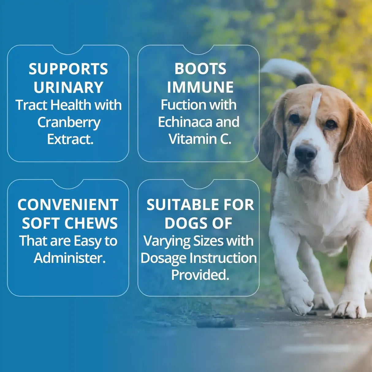 REPLENISH - Replenish Urinary Tract Chews for Dogs 60 Masticables - The Red Vitamin MX - Salud De Tracto Urinario Para Perros - {{ shop.shopifyCountryName }}