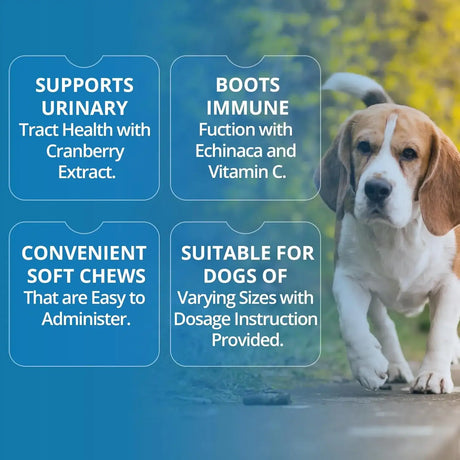 REPLENISH - Replenish Urinary Tract Chews for Dogs 60 Masticables - The Red Vitamin MX - Salud De Tracto Urinario Para Perros - {{ shop.shopifyCountryName }}