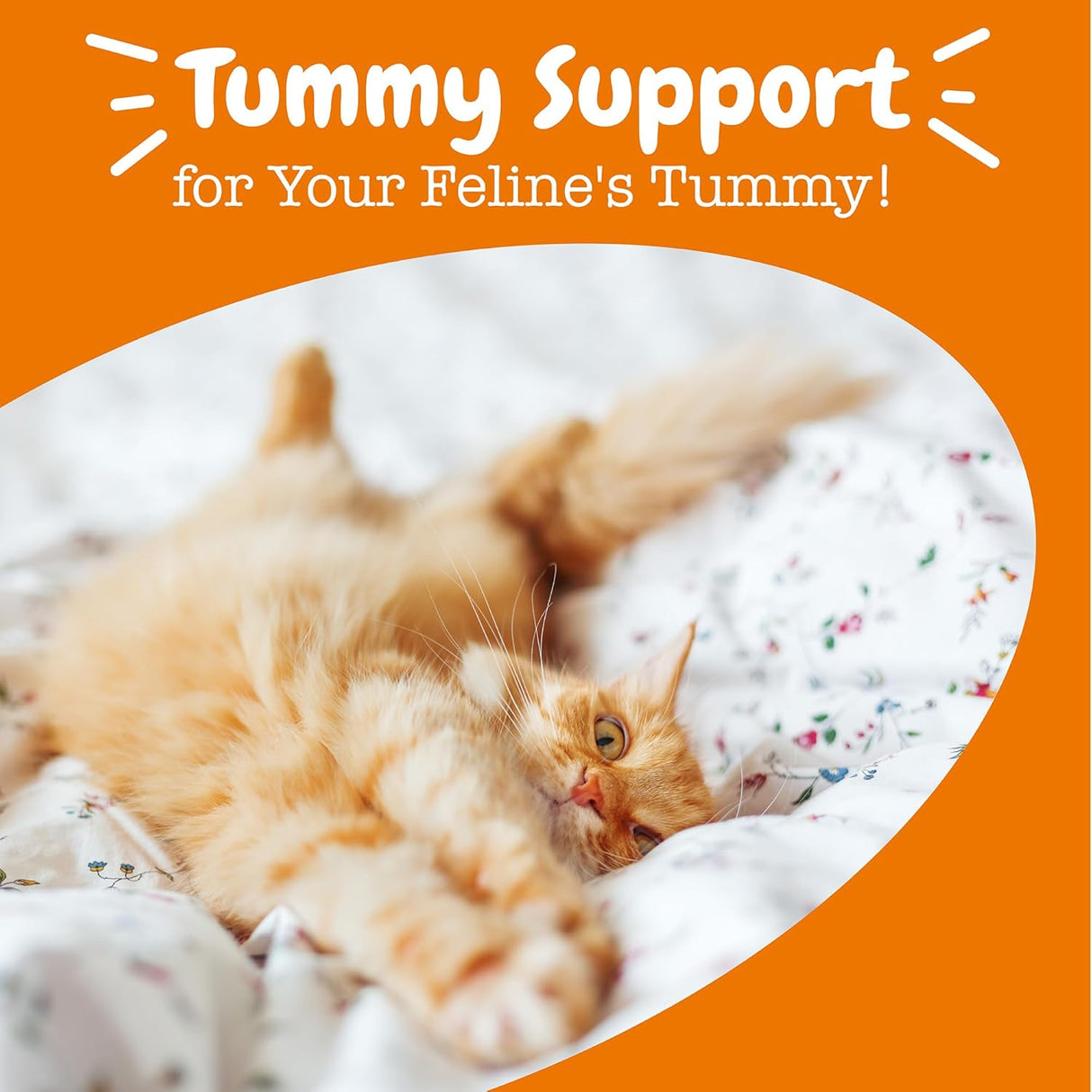 Zesty Paws Powder Probiotics for Cats 30 Paquetes