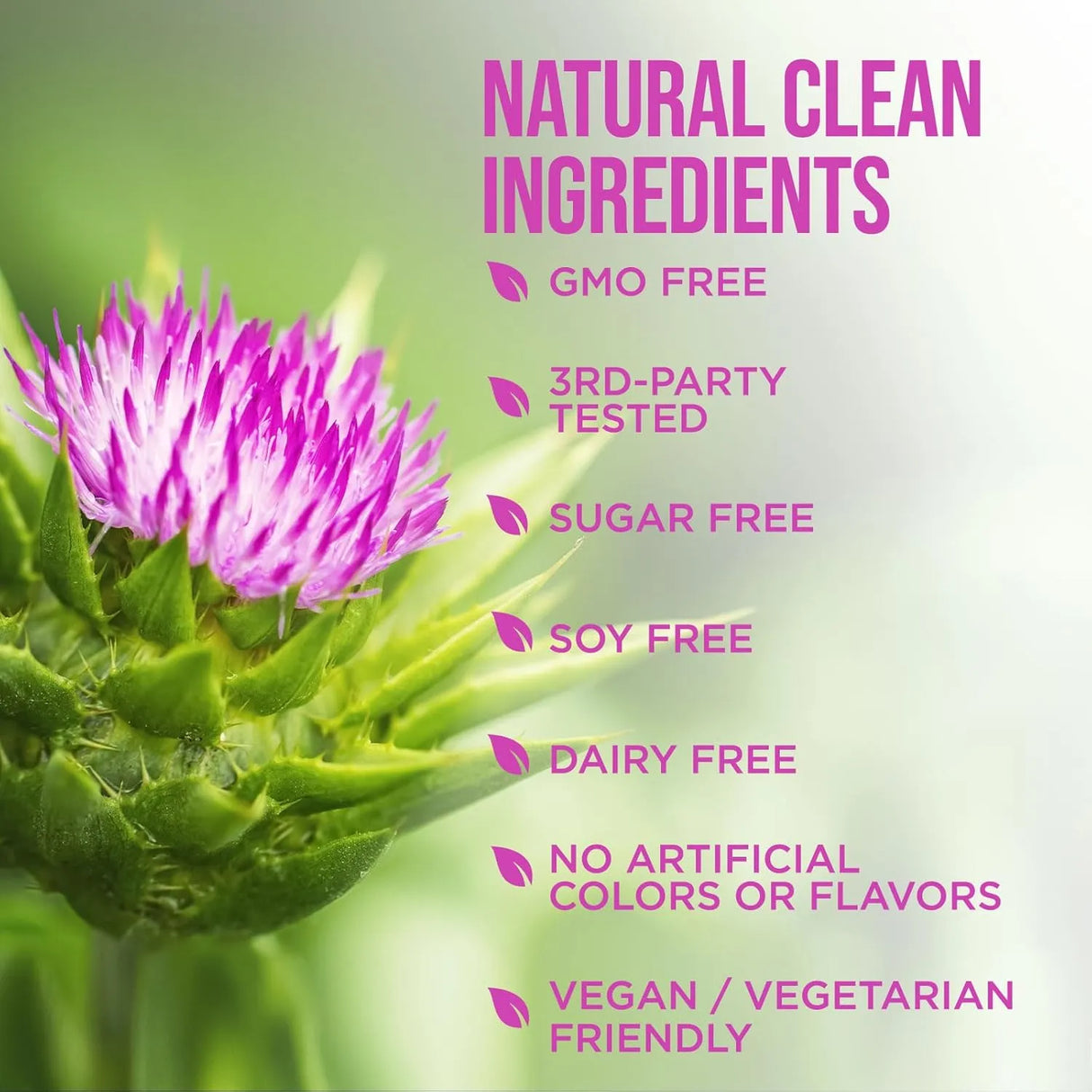 HEALTH NUTRITION NATURALS - Health Nutrition Naturals Milk Thistle Extract 1000Mg. 120 Capsulas - The Red Vitamin MX - Suplementos Alimenticios - {{ shop.shopifyCountryName }}