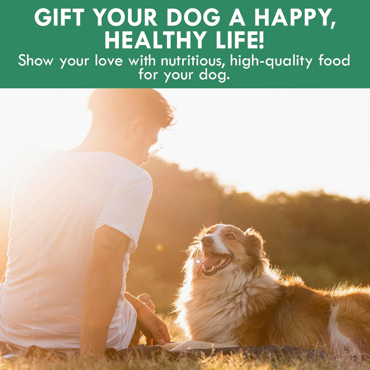 HOLISTIC BIN - HOLISTIC BIN Canine Super Greens 50Gr. - The Red Vitamin MX - Suplementos Herbales Para Perros - {{ shop.shopifyCountryName }}