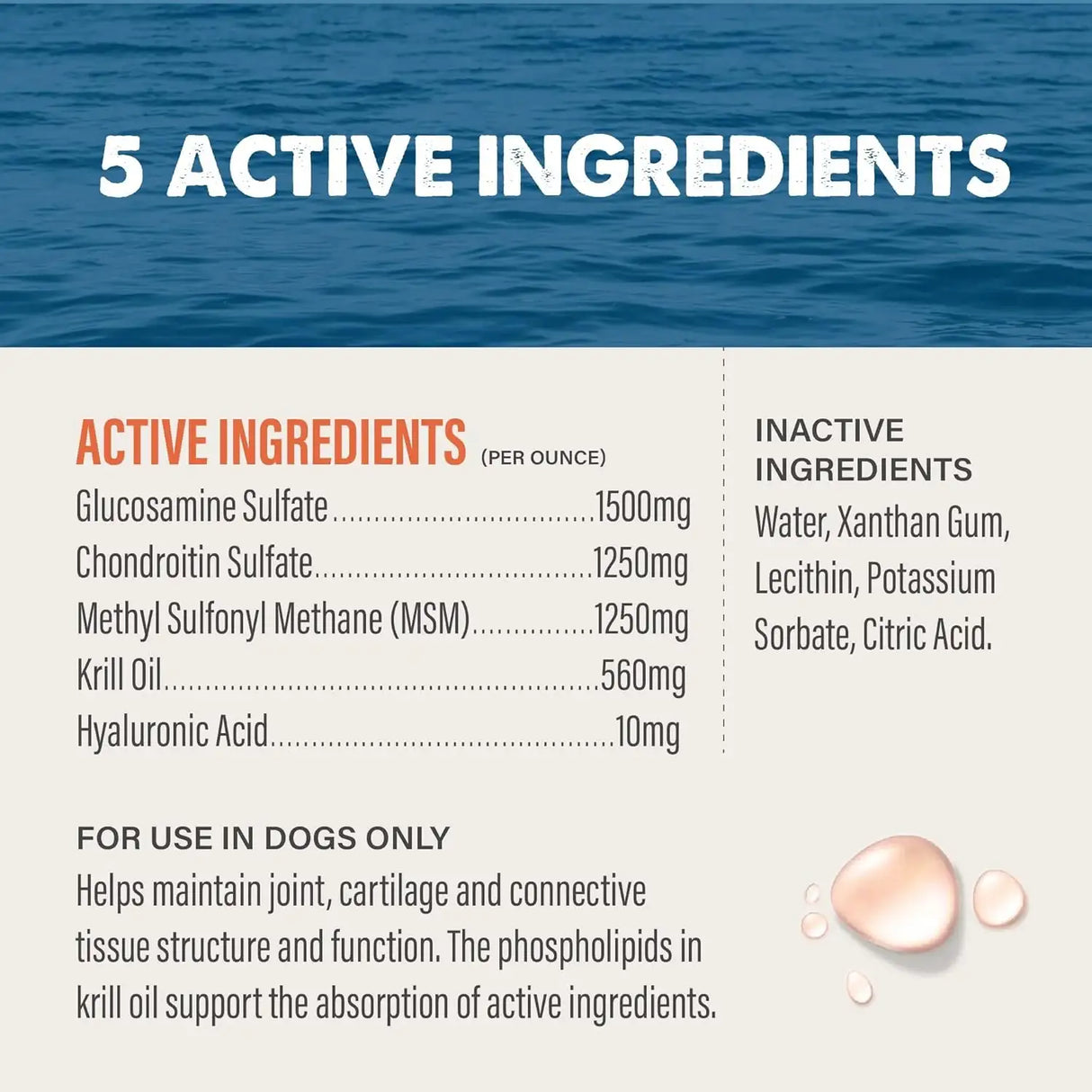 GRIZZLY PET PRODUCTS - GRIZZLY PET PRODUCTS Joint Aid for Dogs Liquid Hip and Joint Support 32 Fl.Oz. - The Red Vitamin MX - Cuidado De Cadera Y Articulaciones Para Perros - {{ shop.shopifyCountryName }}