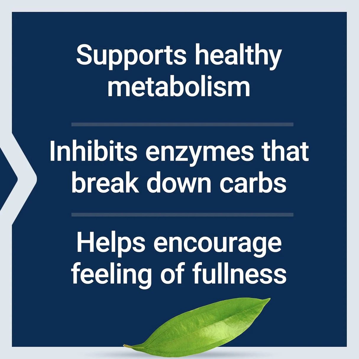 LIFE EXTENSION - Life Extension CinSulin with InSea2 and Crominex 3+ 90 Capsulas - The Red Vitamin MX - Suplementos Alimenticios - {{ shop.shopifyCountryName }}