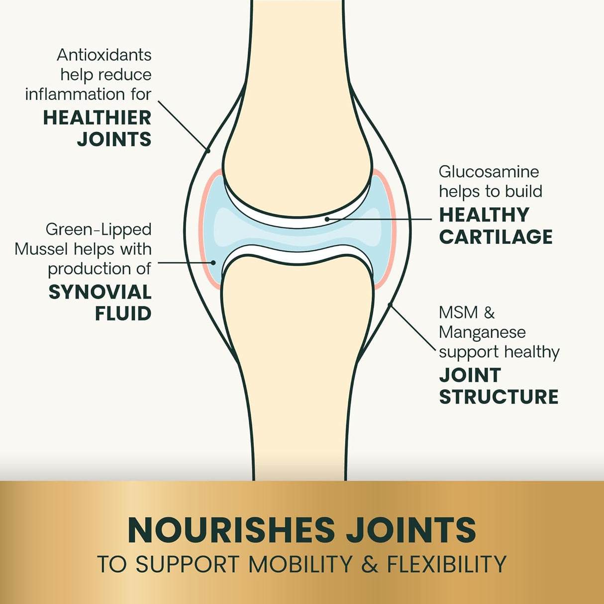VetriScience Extra Strength Healthy Hip & Joint Chews Cats Chicken Flavor 60 Masticables