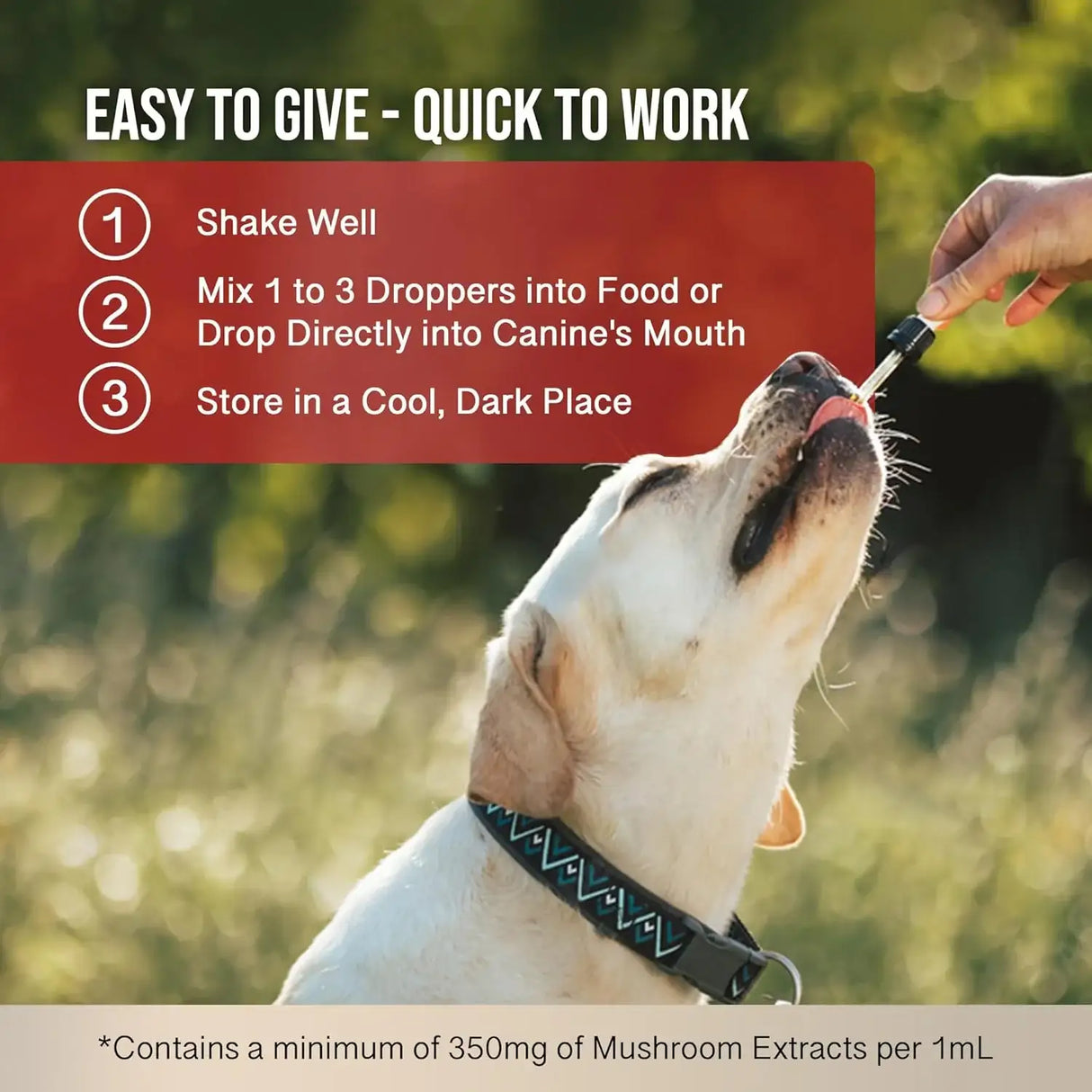 MYCODOG - MycoDog Vitality Mushroom Extract & Adaptogen Tincture 1 Fl.Oz. - The Red Vitamin MX - Suplementos Herbales Para Perros - {{ shop.shopifyCountryName }}