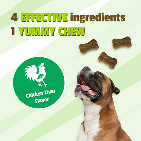 PET NATURALS - Pet Naturals Lawn Aid Dog Urine Neutralizer for Lawn 60 Masticables - The Red Vitamin MX - Salud De Tracto Urinario Para Perros - {{ shop.shopifyCountryName }}