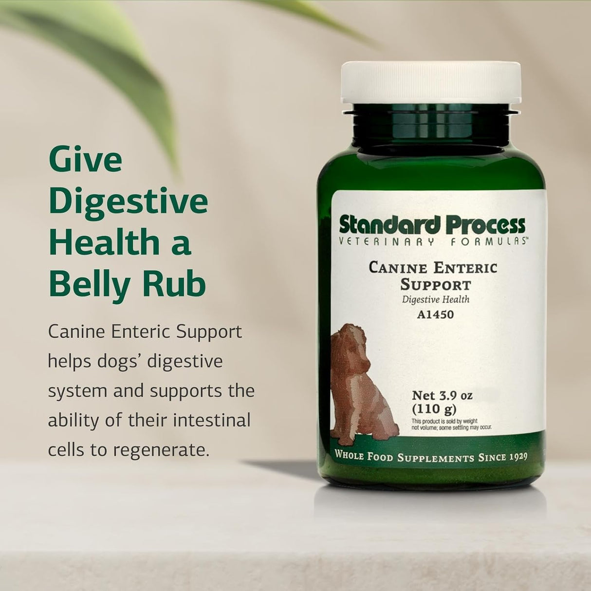 Standard Process Canine Enteric Support 110Gr.