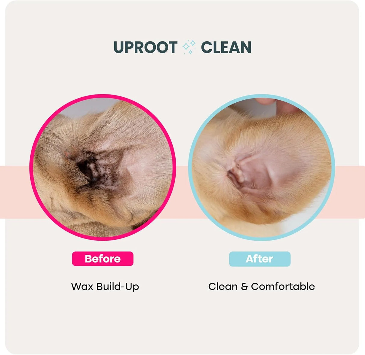 UPROOT CLEAN - Uproot Clean Cat & Dog Ear Cleaner Finger Wipes 50 Toallitas - The Red Vitamin MX - Cuidado Del Oído De Perros - {{ shop.shopifyCountryName }}