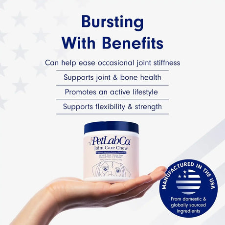 PETLAB CO. - PetLab Co. Joint Care Chews for Dogs Pork Flavor 30 Masticables 2 Pack - The Red Vitamin MX - Cuidado De Cadera Y Articulaciones Para Perros - {{ shop.shopifyCountryName }}