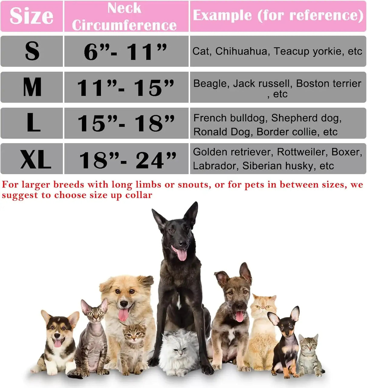 KATOGGY - Katoggy Inflatable Dog Collar PINK MEDIUM - The Red Vitamin MX - Collares y Conos De Recuperación Para Perros - {{ shop.shopifyCountryName }}