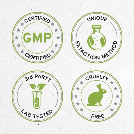 SECRETS OF THE TRIBE - Secrets of the Tribe Licorice Alcohol-Free Liquid Extract 4 Fl.Oz. - The Red Vitamin MX - Suplementos Alimenticios - {{ shop.shopifyCountryName }}