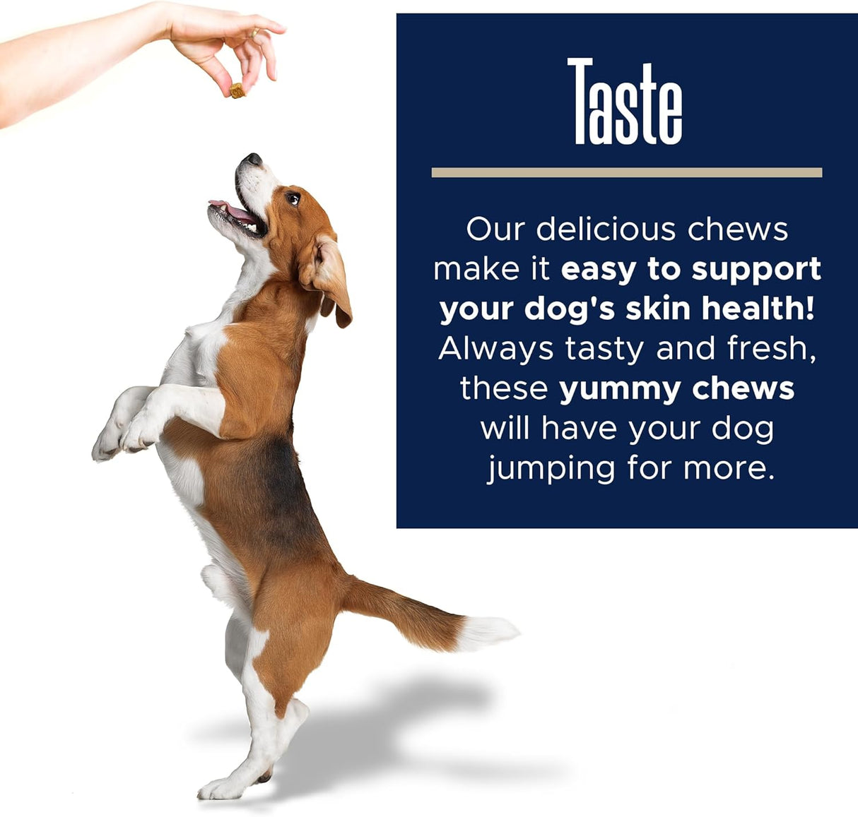 Healthy Pup Skin & Coat Dog Fish Oil 180 Masticables