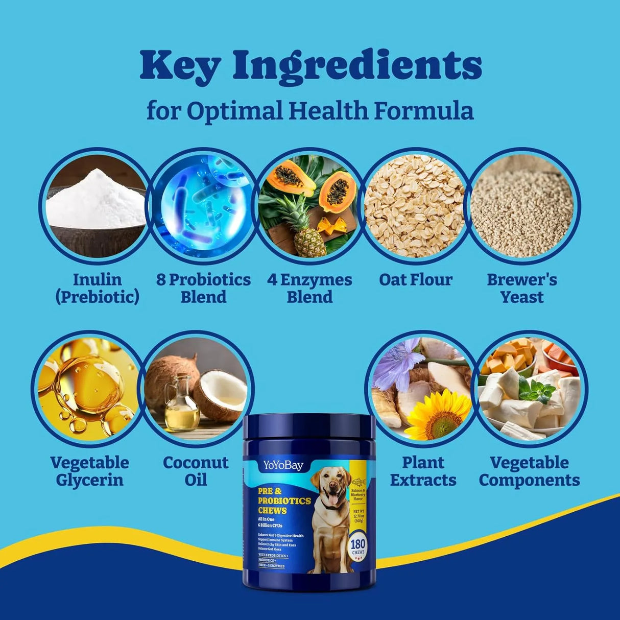 YOYOBAY - YoYoBay Probiotics for Dogs Salmon & Blueberry Flavor 180 Masticables - The Red Vitamin MX - Probióticos Para Perros - {{ shop.shopifyCountryName }}