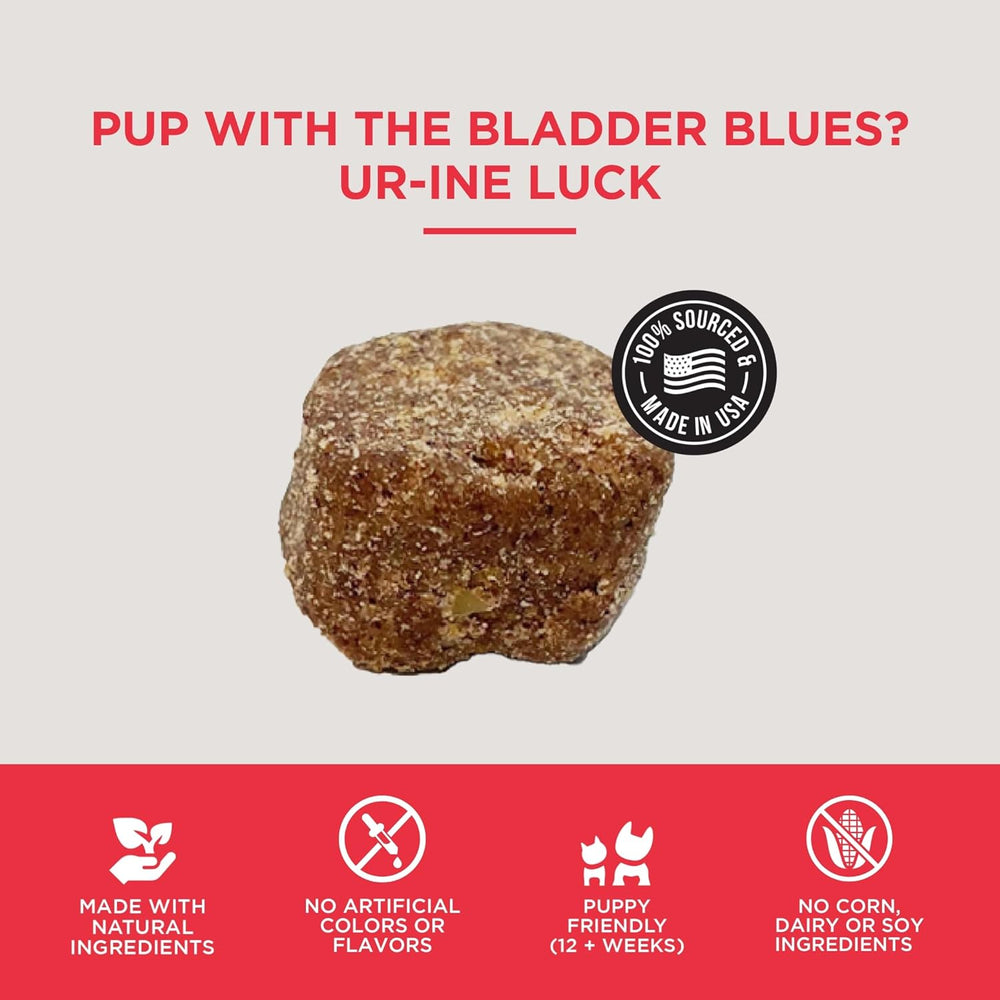 Natural Rapport Dog Bladder Support 120 Masticables