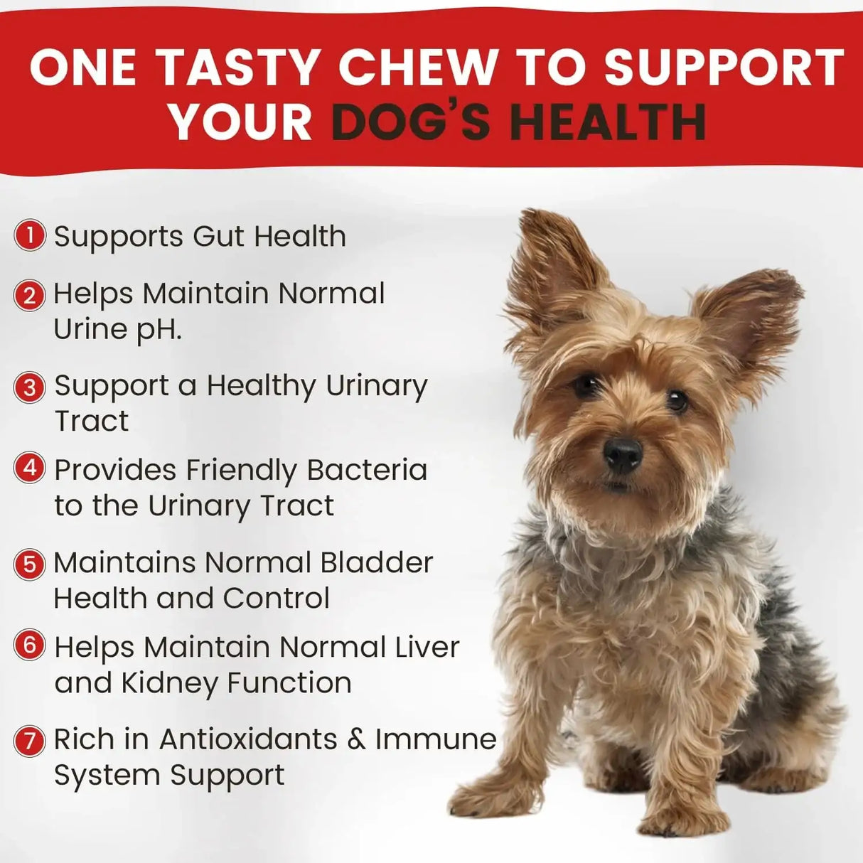 VITAMIN PAWS - Vitamin Paws Cranberry Supplement for Dogs 90 Masticables - The Red Vitamin MX - Salud De Tracto Urinario Para Perros - {{ shop.shopifyCountryName }}