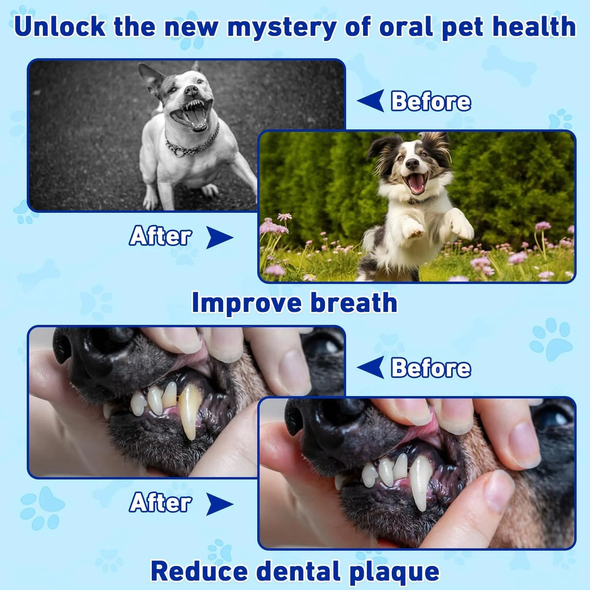 MIMO STYLE - Mimo Style Dog Dental Powder 80Gr. - The Red Vitamin MX - Cuidado Dental Para Perros - {{ shop.shopifyCountryName }}