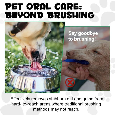 OIMMAL - OIMMAL Fresh Breath Original Dog Oral Care Water Additive 237Ml. - The Red Vitamin MX - Cuidado Dental Para Perros - {{ shop.shopifyCountryName }}