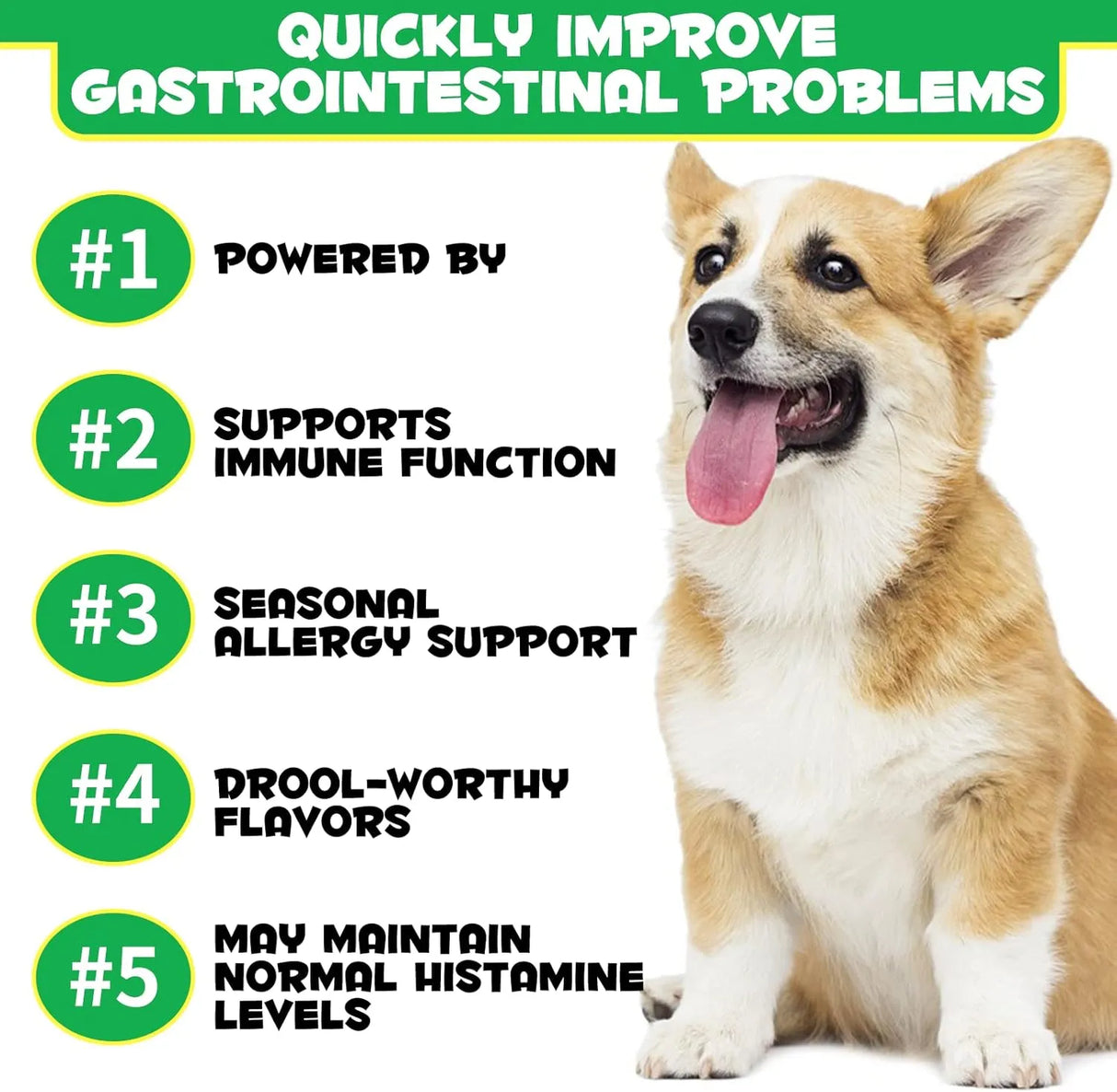 OIMMAL - Oimmal Probiotics for Dogs Digestive Health 120 Masticables - The Red Vitamin MX - Probióticos Para Perros - {{ shop.shopifyCountryName }}