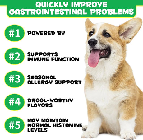 OIMMAL - Oimmal Probiotics for Dogs Digestive Health 120 Masticables - The Red Vitamin MX - Probióticos Para Perros - {{ shop.shopifyCountryName }}
