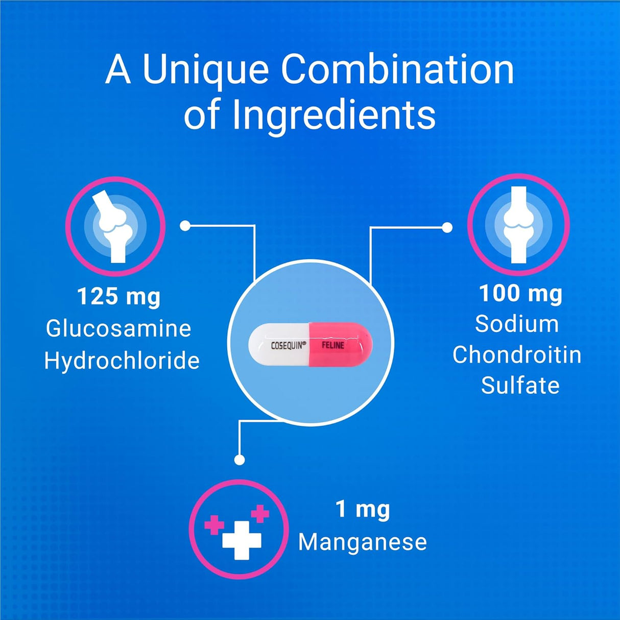 Nutramax Laboratories Cosequin 30 ct Sprinkle Capsules for Cats 30 Capsulas
