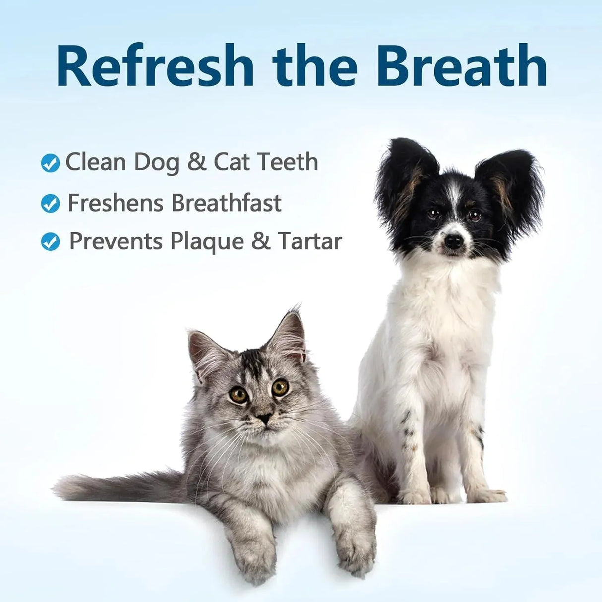 TZQPOKUT - Tzqpokut Dog Teeth Cleaning Wipes 50 Piezas - The Red Vitamin MX - Cuidado Dental Para Perros - {{ shop.shopifyCountryName }}