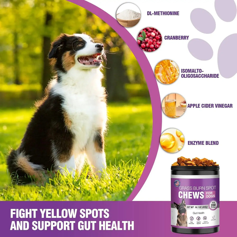 TTLXRL - TTLXRL Grass Burn Spot Chews for Dogs 200 Masticables - The Red Vitamin MX - Salud De Tracto Urinario Para Perros - {{ shop.shopifyCountryName }}