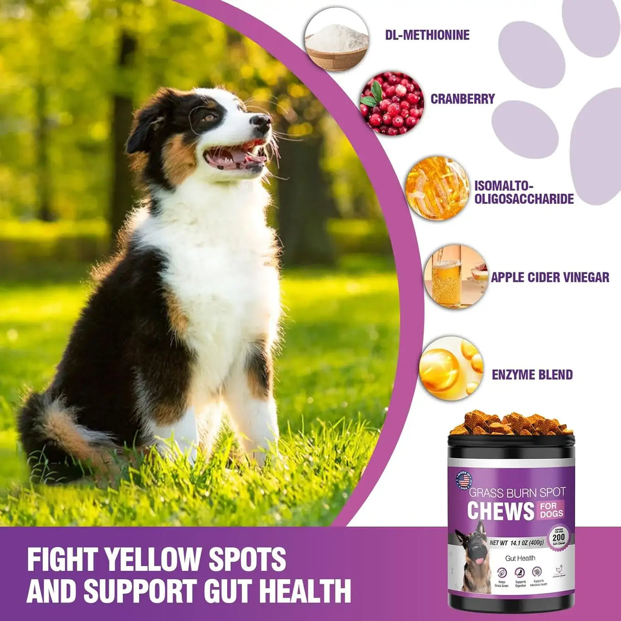 TTLXRL - TTLXRL Grass Burn Spot Chews for Dogs 200 Masticables - The Red Vitamin MX - Salud De Tracto Urinario Para Perros - {{ shop.shopifyCountryName }}