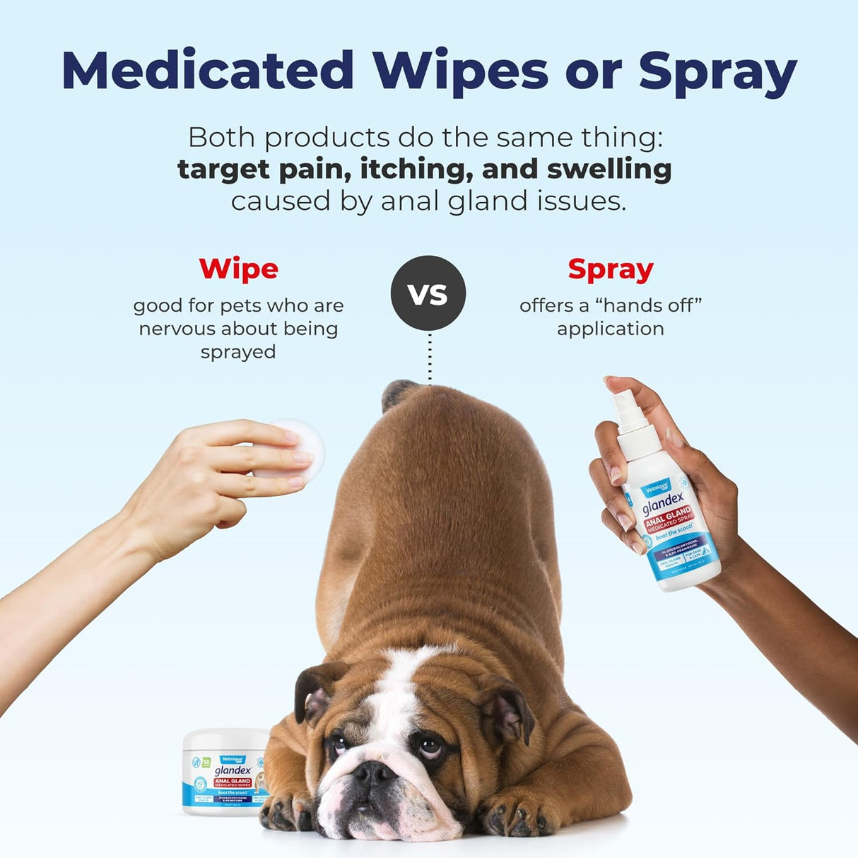 Vetnique Glandex Medicated Dog Butt Wipes 50 Toallitas