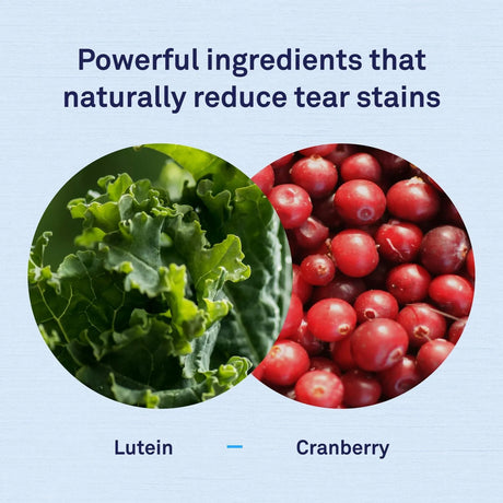 PETPOST - Petpost Tear Stain Remover Chicken Flavored Soft Chews 90 Masticables - The Red Vitamin MX - Cuidado De Los Ojos De Los Perros - {{ shop.shopifyCountryName }}