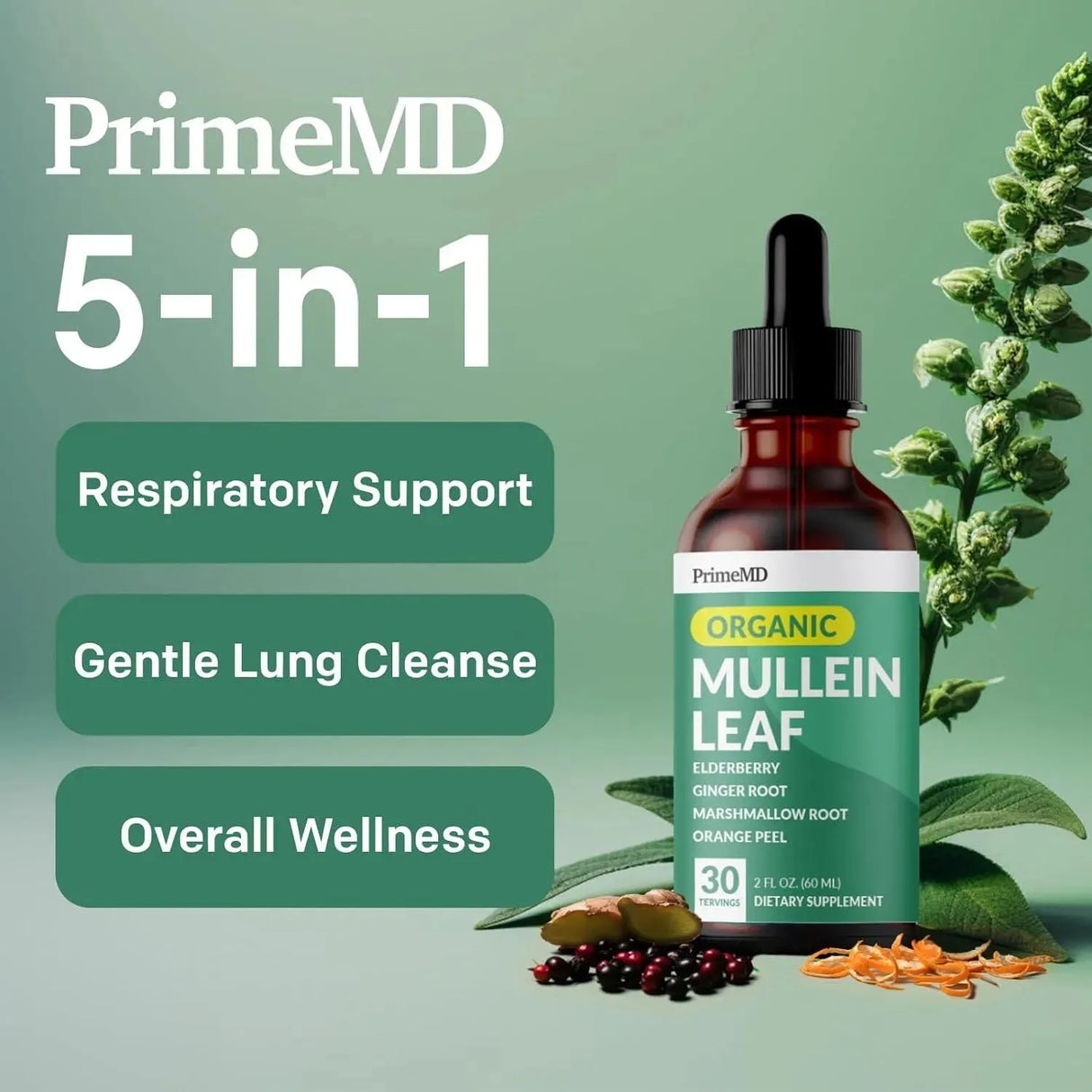 PRIMEMD - PrimeMD 5-in-1 Mullein Drops for Lungs 60Ml. 2 Pack - The Red Vitamin MX - Suplementos Alimenticios - {{ shop.shopifyCountryName }}