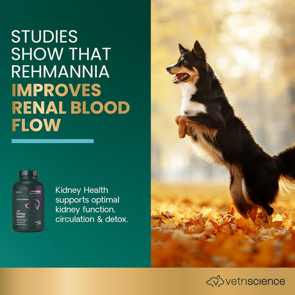 VETRISCIENCE - VetriScience Kidney Health 60 Tabletas Masticables - The Red Vitamin MX - Suplementos Herbales Para Perros - {{ shop.shopifyCountryName }}