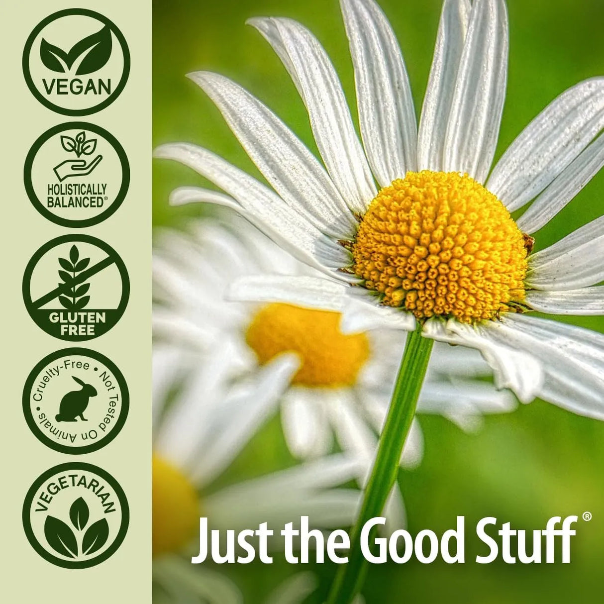 NATURE´S ANSWER - Nature's Answer White Willow with Feverfew 500Mg. 60 Capsulas - The Red Vitamin MX - Suplementos Alimenticios - {{ shop.shopifyCountryName }}