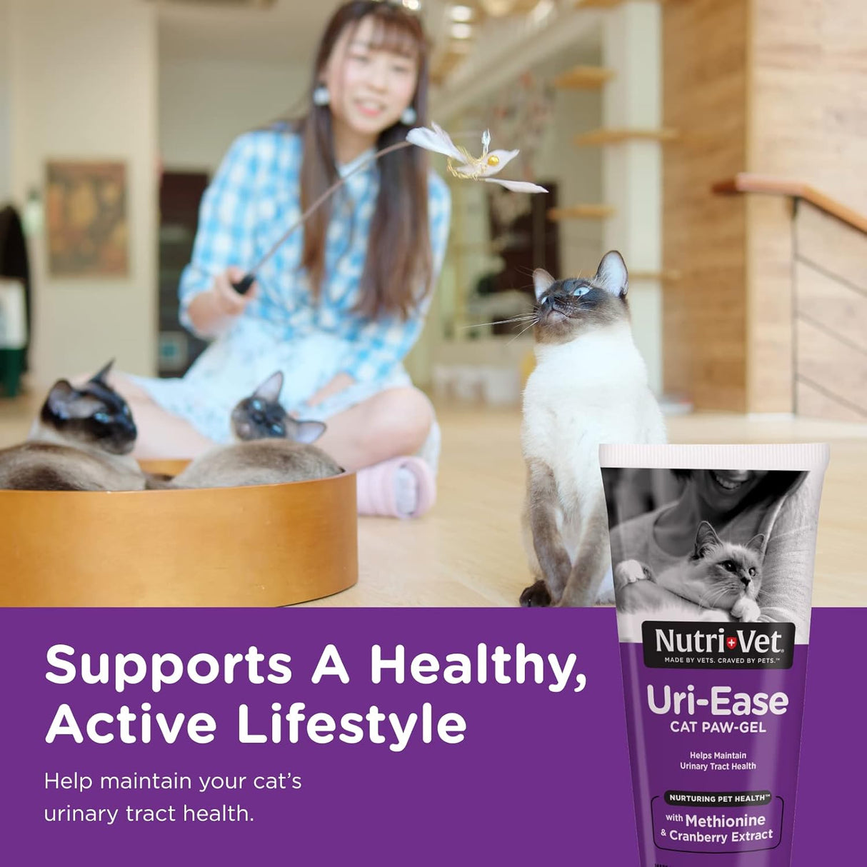 Nutri-Vet Uri-Ease Paw Gel for Cats Helps Maintain Urinary Tract Health 3 Oz.