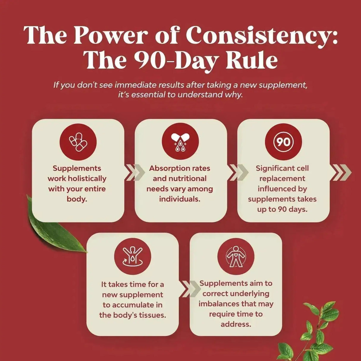 NATURES CRAFT - Natures Craft Super Concentrated Odorless Garlic with Parsley 60 Capsulas Blandas - The Red Vitamin MX - Suplementos Alimenticios - {{ shop.shopifyCountryName }}