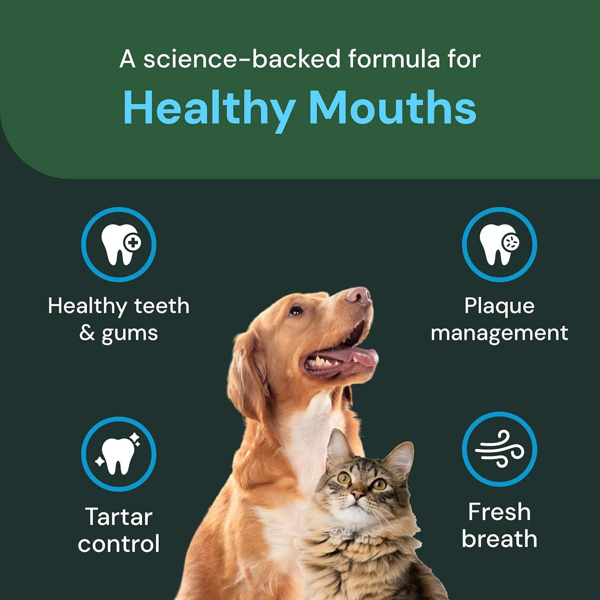 VETRISCIENCE - VetriScience Perio Support Pro Dental Health Powder for Dogs & Cats 453Gr. - The Red Vitamin MX - Cuidado Dental Para Perros - {{ shop.shopifyCountryName }}