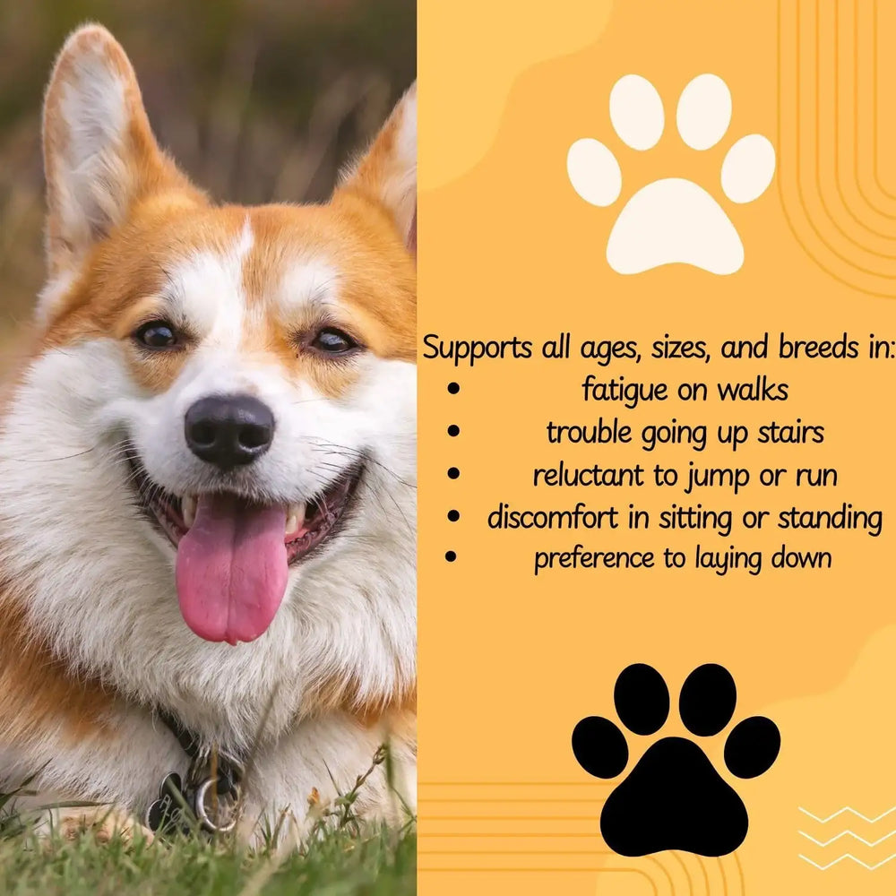 VENNEX - VENNEX Hip and Joint Supplement for Dogs 120 Masticables - The Red Vitamin MX - Cuidado De Cadera Y Articulaciones Para Perros - {{ shop.shopifyCountryName }}