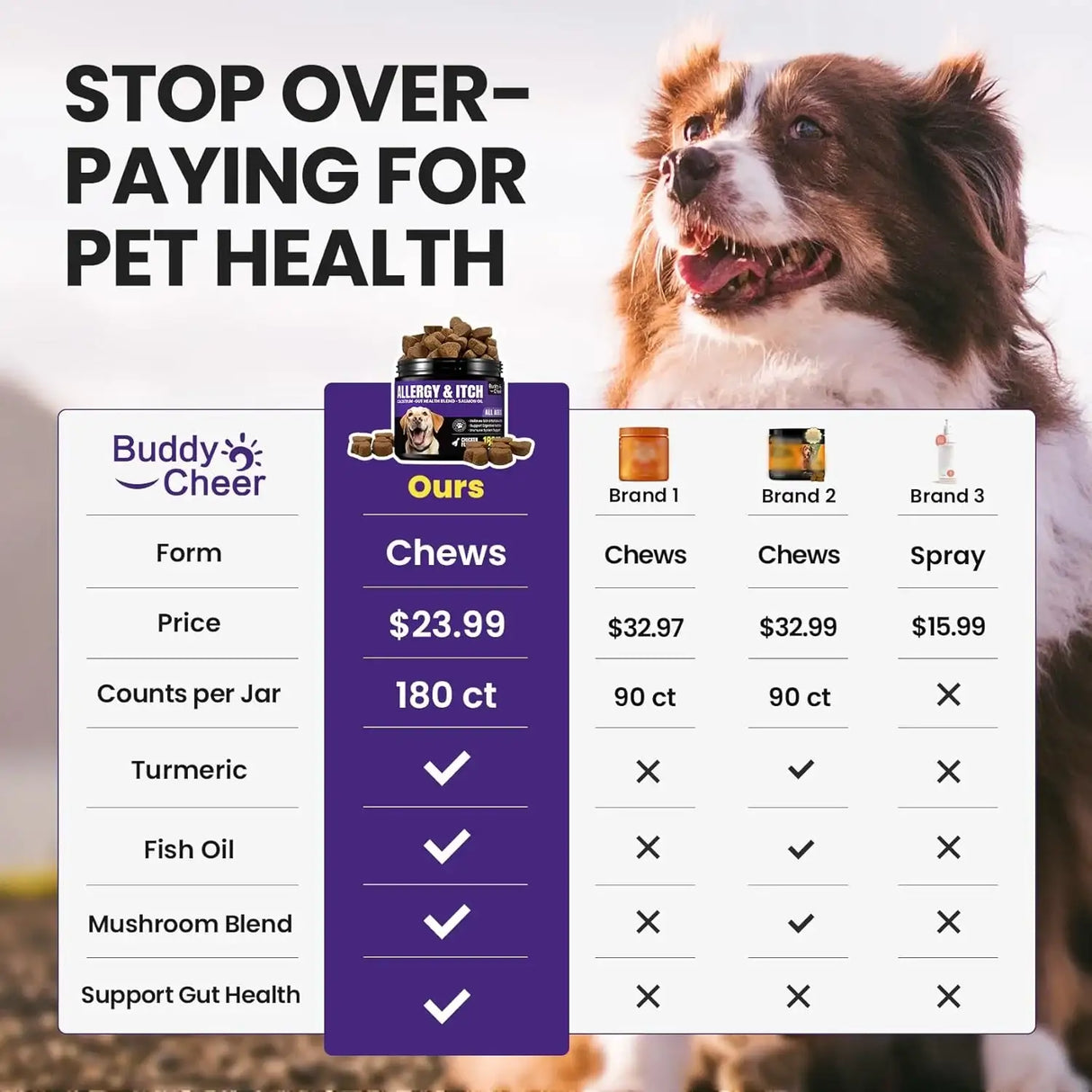 BUDDYCHEER - BuddyCheer Dog Allergy Skin Relief Chews for HotSpot & Dry Skin 180 Masticables - The Red Vitamin MX - Remedios Para La Picazón De Perros - {{ shop.shopifyCountryName }}