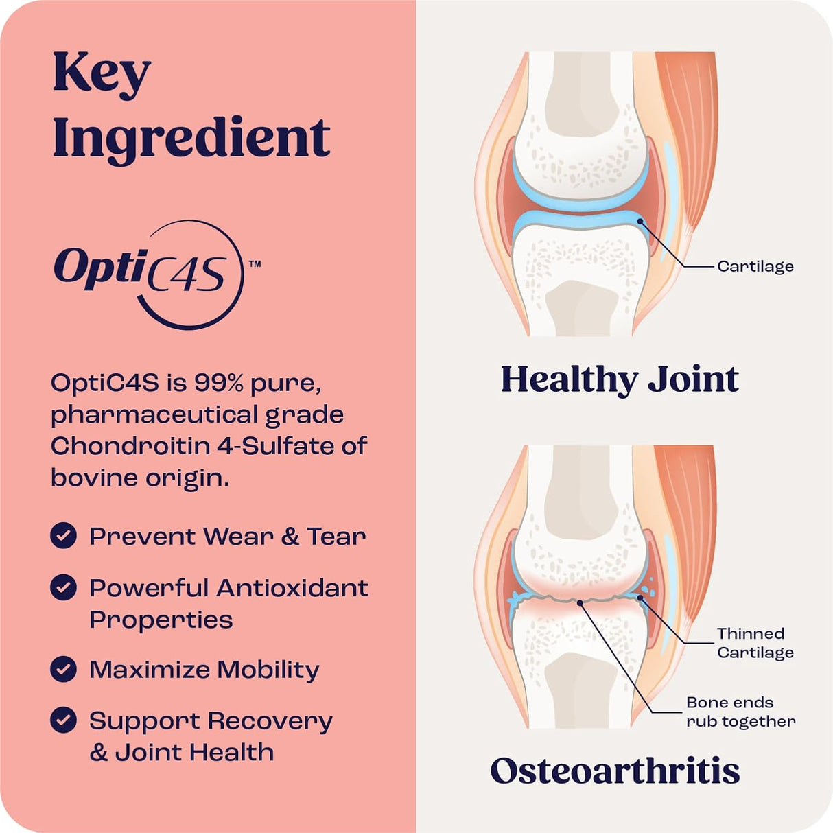 Summit Feline Pain Relief Supplement Inflammation Hip & Joint Support Vitamin for Cats 6Ml.