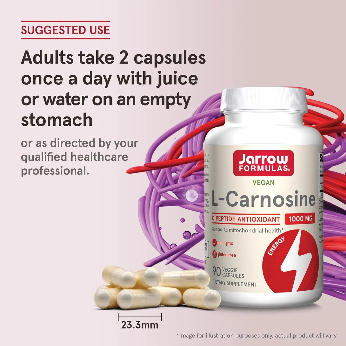 JARROW FORMULAS - Jarrow Formulas L-Carnosine 1000Mg. 90 Capsulas - The Red Vitamin MX - Suplementos Alimenticios - {{ shop.shopifyCountryName }}