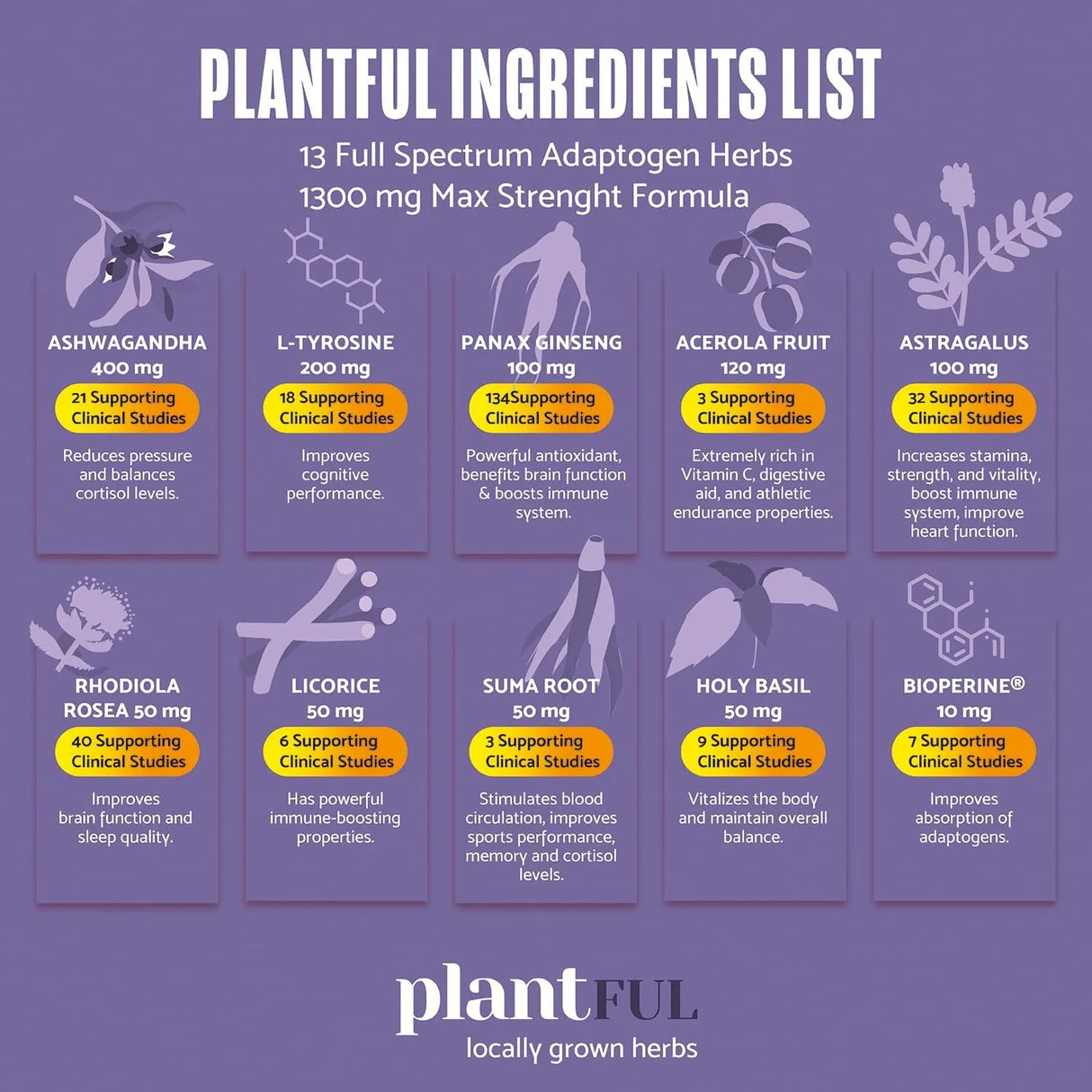 PLANTFUL RESEARCH - PLANTFUL RESEARCH Adrenal Support & Cortisol Manager 60 Capsulas - The Red Vitamin MX - Suplementos Alimenticios - {{ shop.shopifyCountryName }}