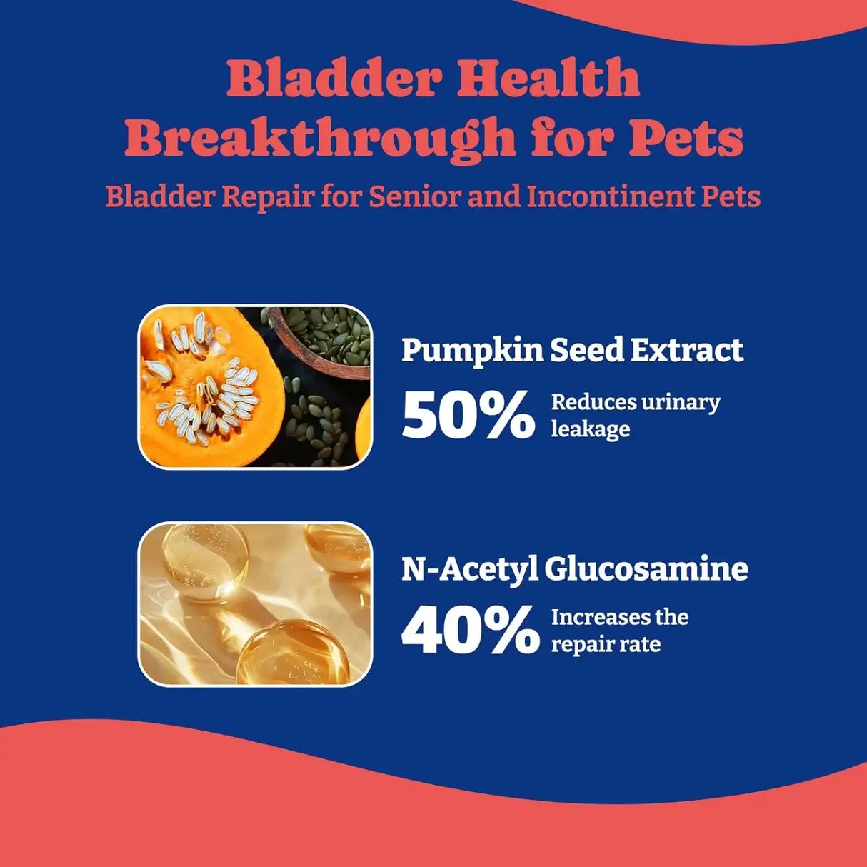 YOYOBAY - YoYoBay Urinary Tract Dog UTI Treatment 180 Masticables - The Red Vitamin MX - Salud De Tracto Urinario Para Perros - {{ shop.shopifyCountryName }}