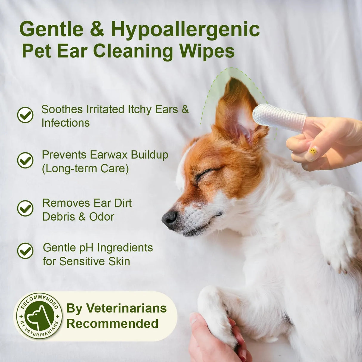 86ZO - 86zo Dog Ear Finger Wipes for Dogs & Cats 50 Toallitas - The Red Vitamin MX - Cuidado Del Oído De Perros - {{ shop.shopifyCountryName }}